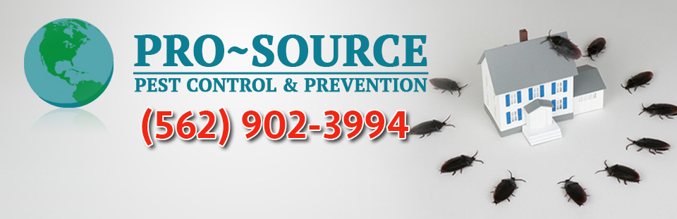 Pro Source Pest Control (562) 902-3994
